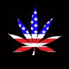 NT STARS N STRIPES WEED (1702-7541)