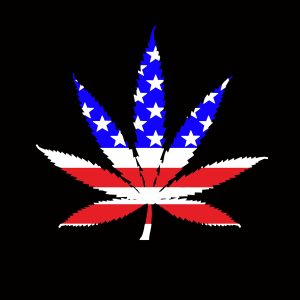 NT STARS N STRIPES WEED (1702-7541)