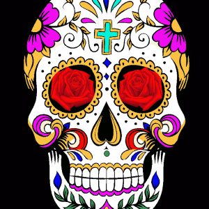 NT SUGAR SKULL BLACK (1702-7542)
